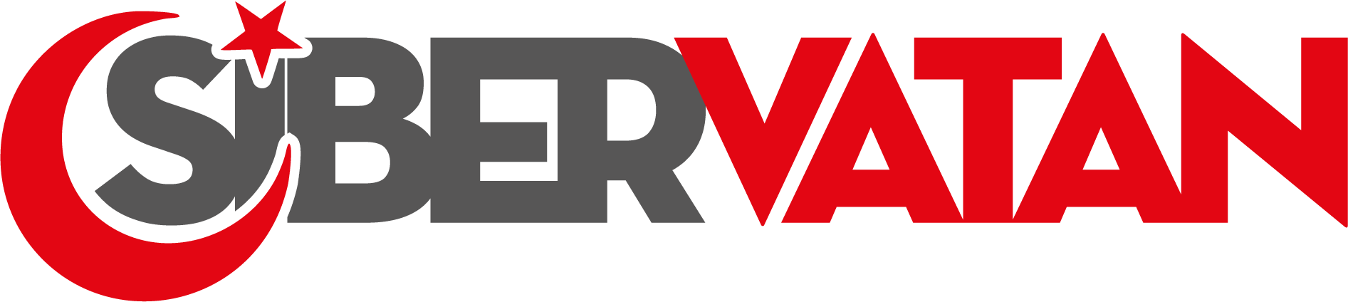 SV Logo